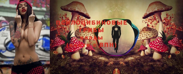 МДПВ Куйбышев