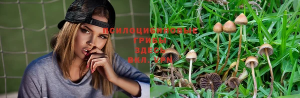 шишки Кукмор