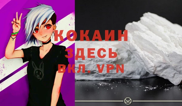 шишки Кукмор